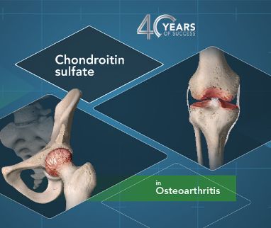 Condroitin solfato: una storia di successo IBSA