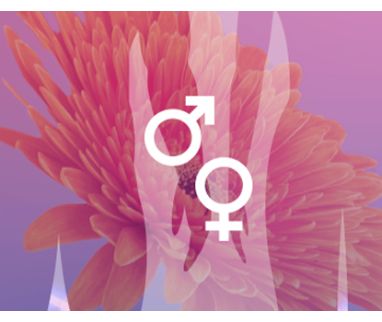 IBSA alla 24^ edizione dell’ESSM