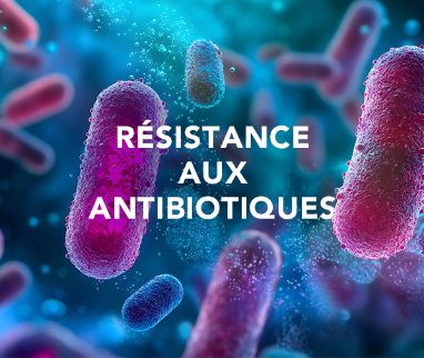 Résistance aux antibiotiques, faites votre part!
