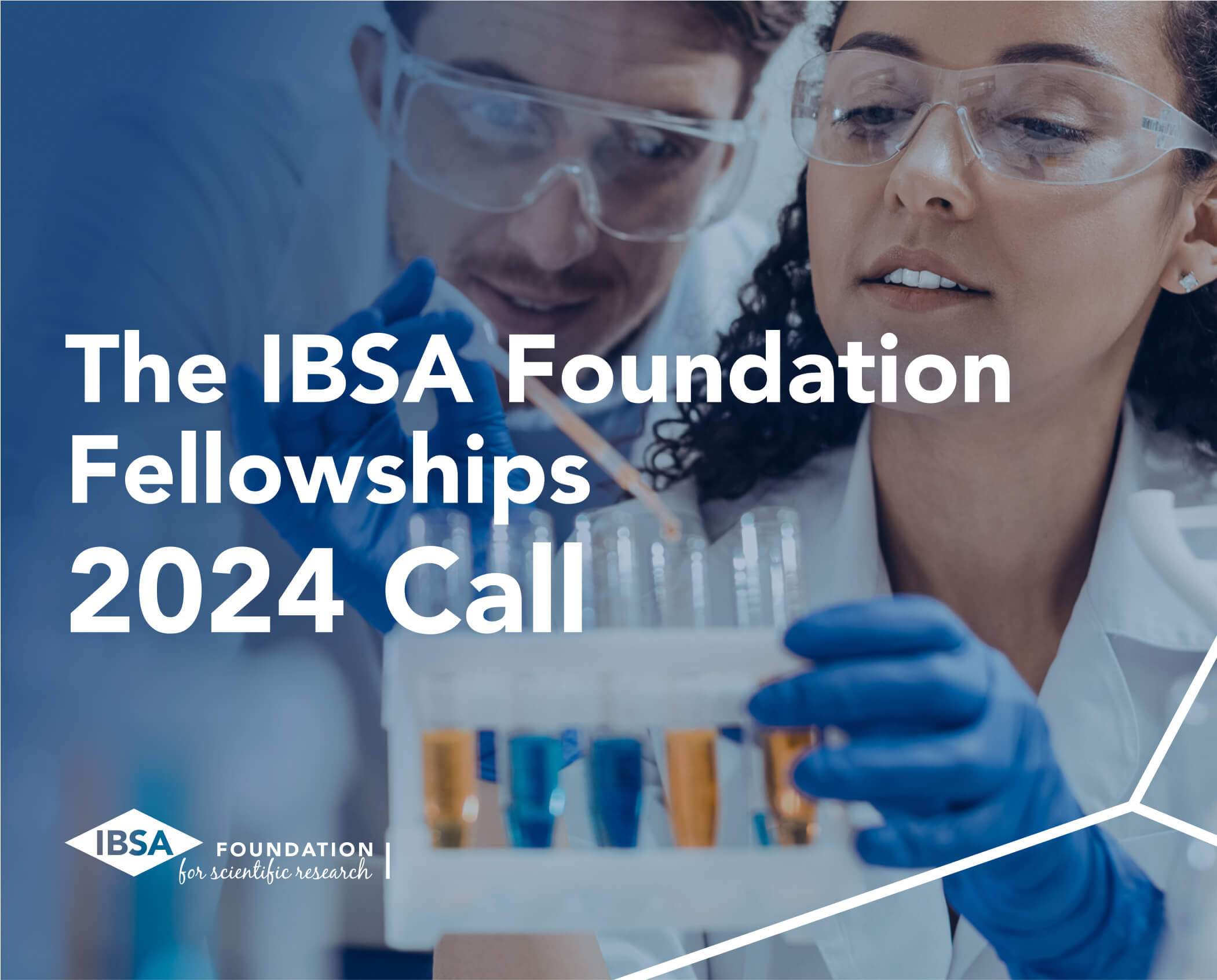 IBSA Foundation Fellowships 2024 Call