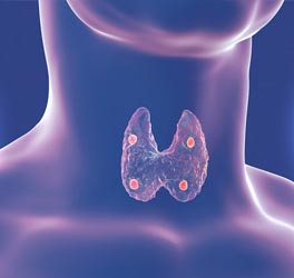 Endocrinologie