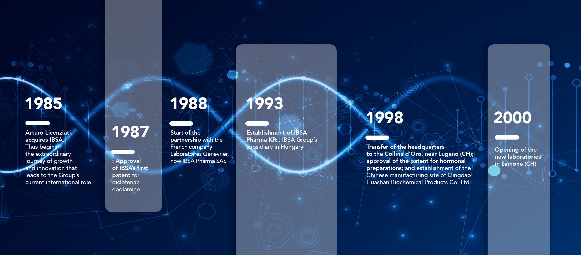 IBSA: a successful entrepreneurial story (pt1) 